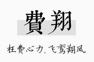 费翔名字的寓意及含义