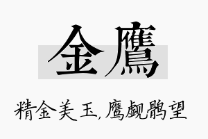 金鹰名字的寓意及含义