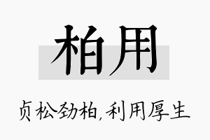 柏用名字的寓意及含义