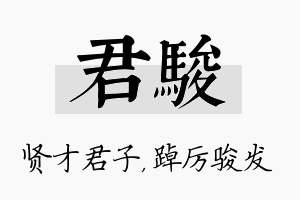 君骏名字的寓意及含义