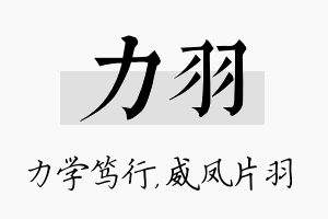 力羽名字的寓意及含义