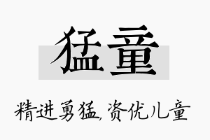 猛童名字的寓意及含义