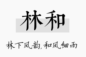 林和名字的寓意及含义