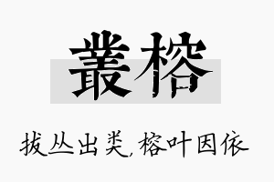 丛榕名字的寓意及含义