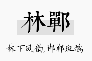 林郸名字的寓意及含义