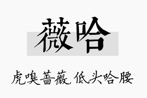 薇哈名字的寓意及含义