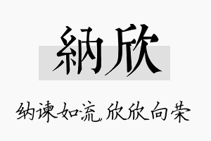 纳欣名字的寓意及含义