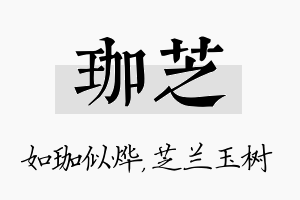 珈芝名字的寓意及含义