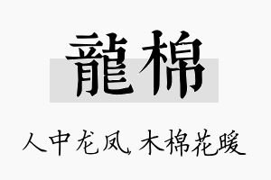 龙棉名字的寓意及含义