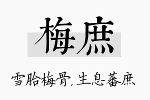 梅庶名字的寓意及含义