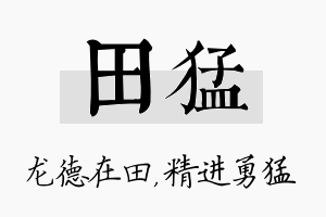 田猛名字的寓意及含义