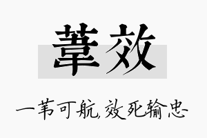 苇效名字的寓意及含义