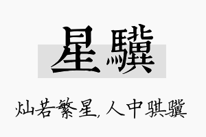 星骥名字的寓意及含义