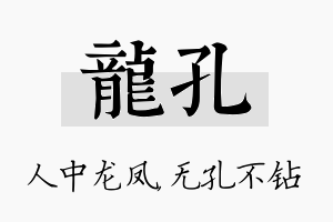 龙孔名字的寓意及含义