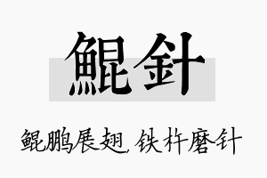 鲲针名字的寓意及含义