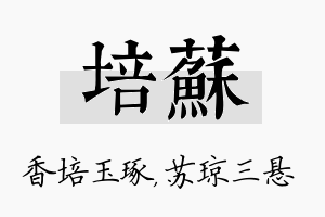 培苏名字的寓意及含义