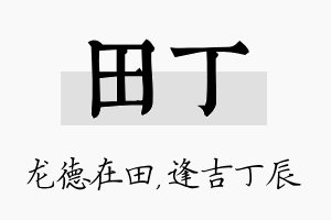 田丁名字的寓意及含义