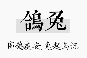 鸽兔名字的寓意及含义