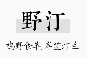 野汀名字的寓意及含义