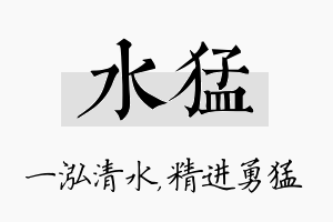 水猛名字的寓意及含义