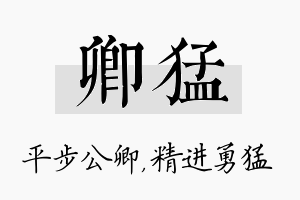 卿猛名字的寓意及含义