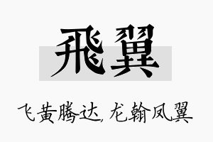 飞翼名字的寓意及含义