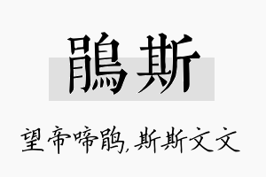 鹃斯名字的寓意及含义