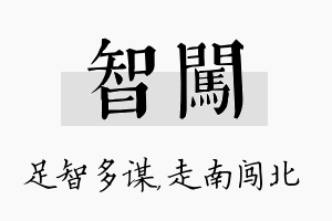 智闯名字的寓意及含义