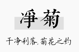 净菊名字的寓意及含义