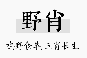 野肖名字的寓意及含义