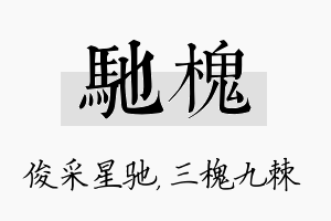 驰槐名字的寓意及含义