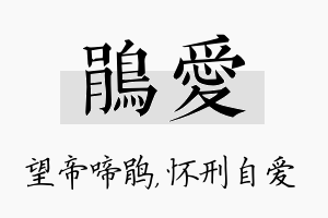 鹃爱名字的寓意及含义