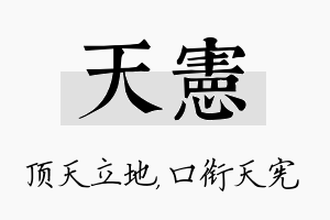 天宪名字的寓意及含义