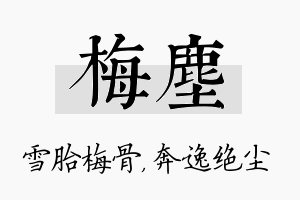 梅尘名字的寓意及含义