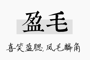 盈毛名字的寓意及含义