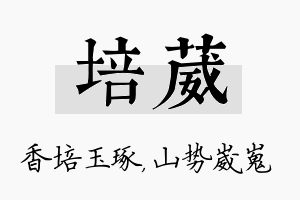 培葳名字的寓意及含义