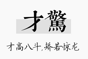 才惊名字的寓意及含义