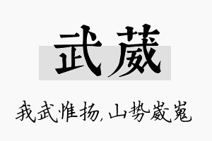 武葳名字的寓意及含义