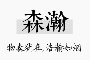 森瀚名字的寓意及含义