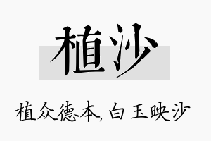 植沙名字的寓意及含义