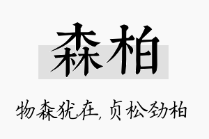 森柏名字的寓意及含义