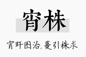 宵株名字的寓意及含义