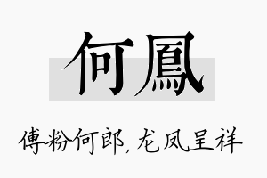 何凤名字的寓意及含义