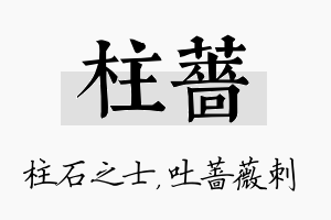 柱蔷名字的寓意及含义