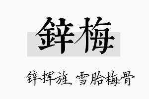 锌梅名字的寓意及含义