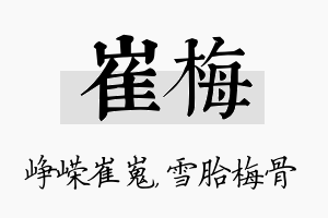 崔梅名字的寓意及含义