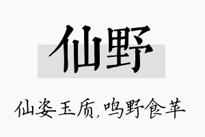 仙野名字的寓意及含义