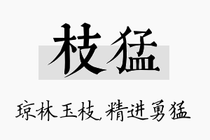 枝猛名字的寓意及含义