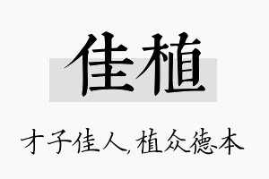 佳植名字的寓意及含义