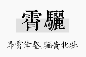 霄骊名字的寓意及含义